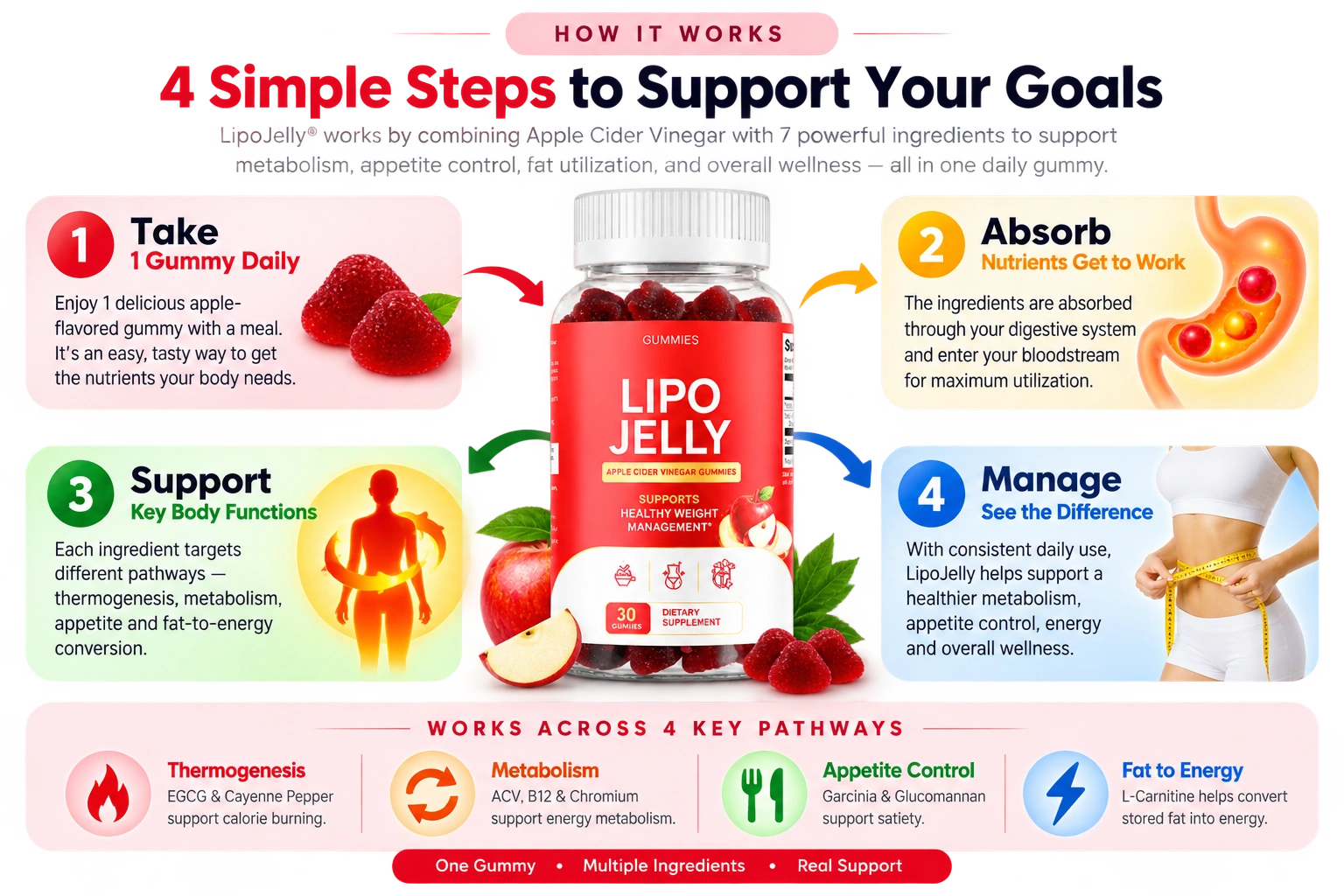 How LipoJelly works - 4 simple steps to support your weight management goals